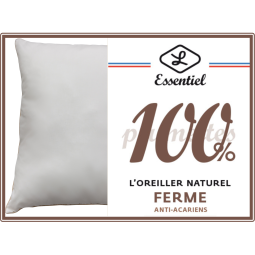 Oreiller naturel plumettes