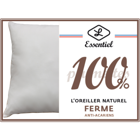 Oreiller naturel plumettes