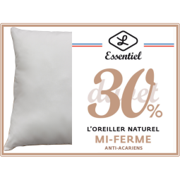 Oreiller traditionnel duvet